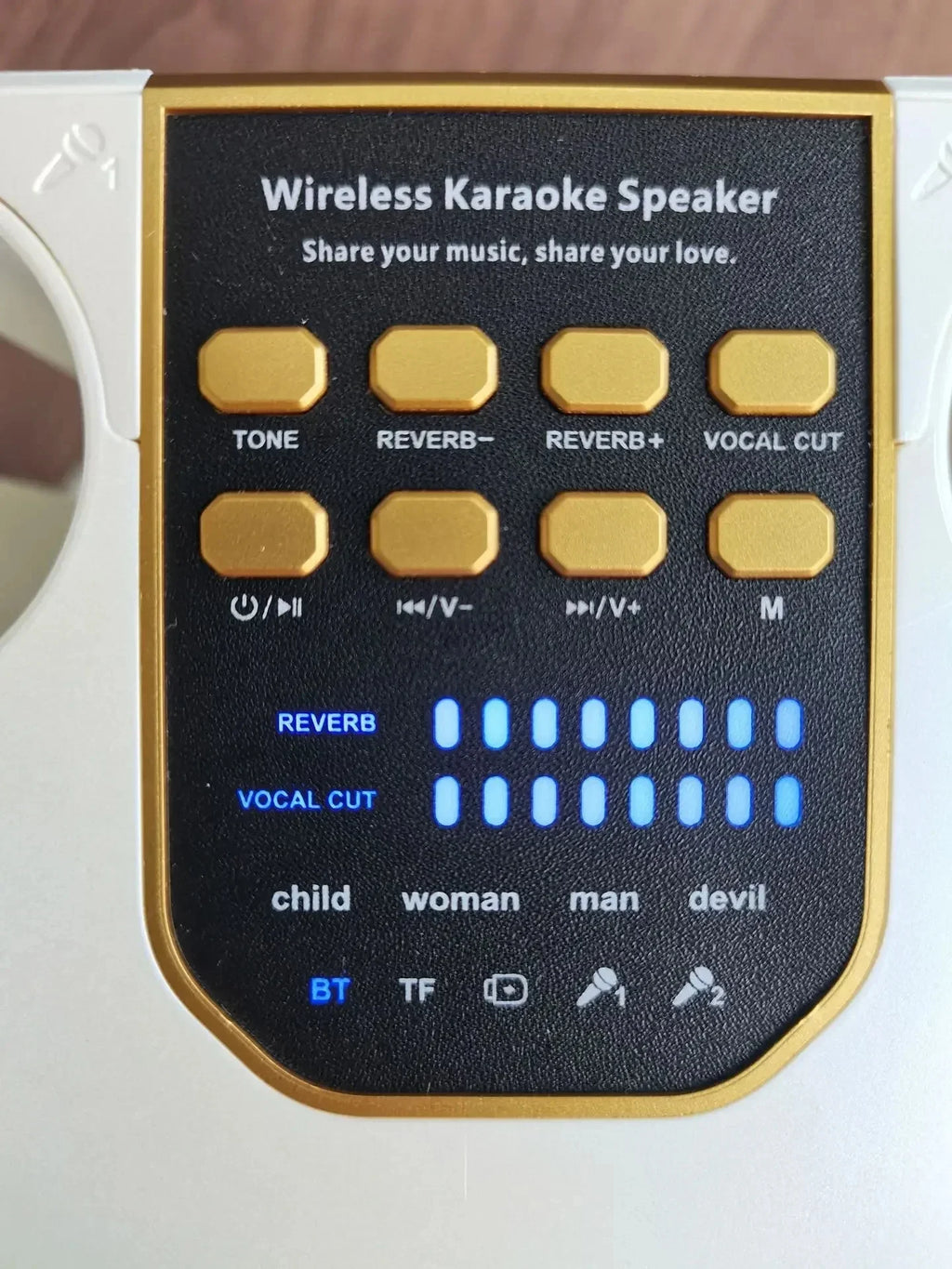 Wireless Subwoofer Portable Powerful Karaoke Bluetooth Speaker With Microphone Sound Box Music Machine High Power Caixa De Som
