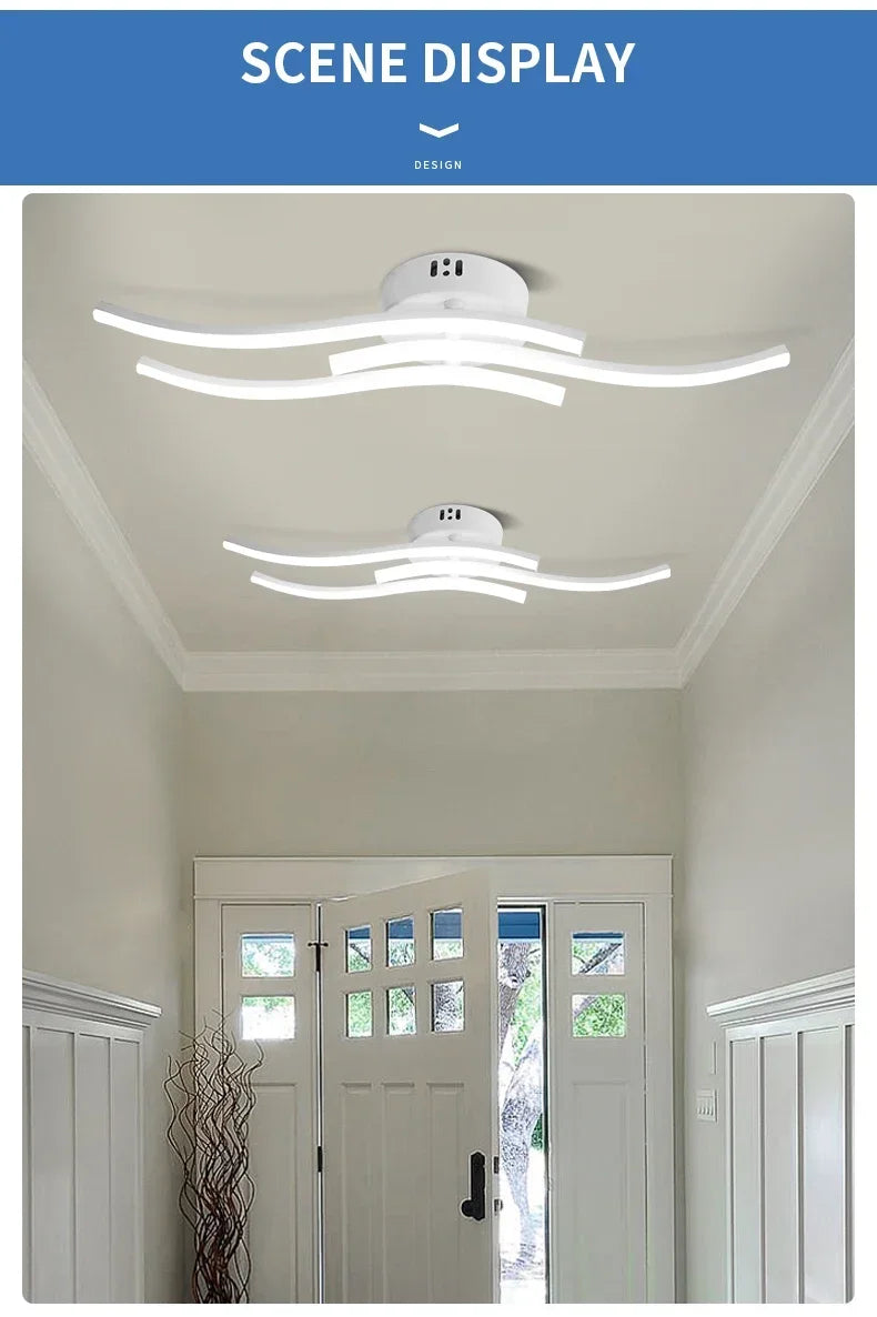 LED Ceiling Light, Dimming Light, Living Room, Bedroom, Dining Room, Corridor, Indoor Home Decoration Lighting
