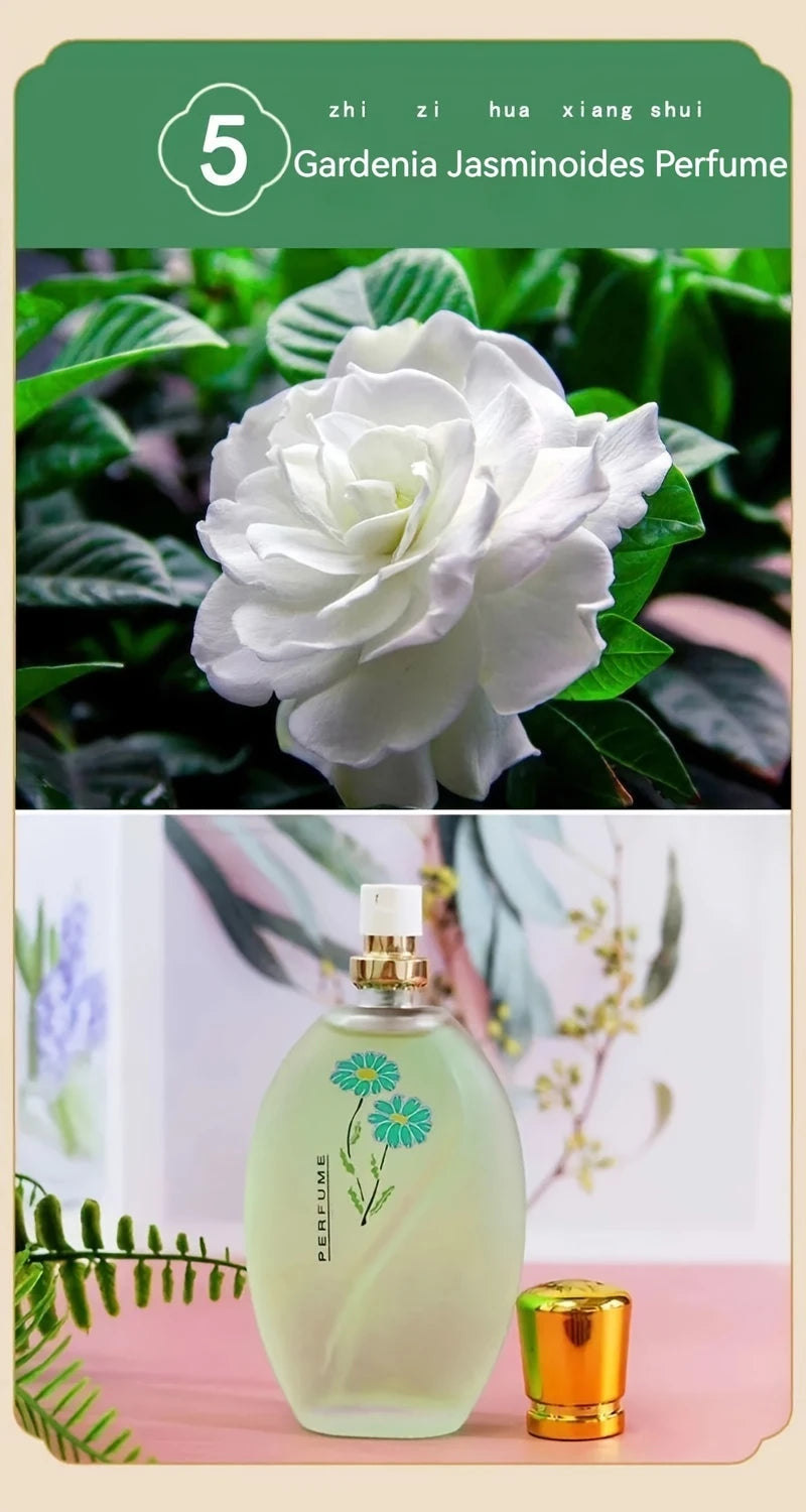 50ml Perfume With Long-lasting Fragrance Fresh And Light Rose And Jasmine Scent Holiday And Birthday Gift For Men And Women