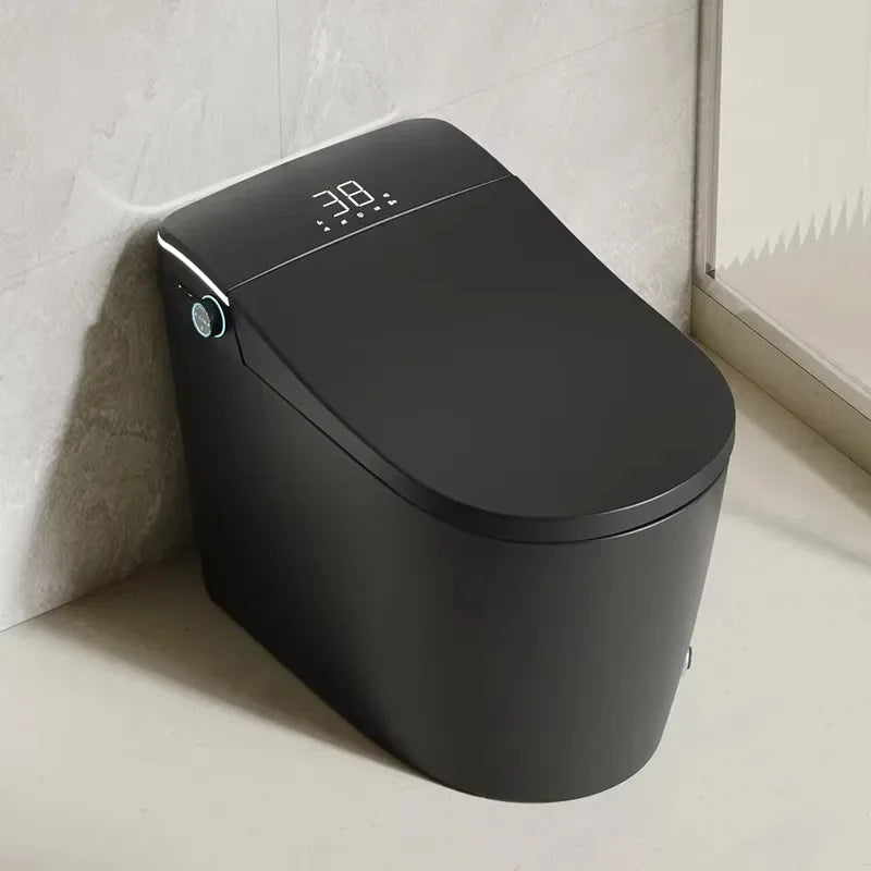 Modern Bathroom Smart Toilet Black Ceramic Automatic Electronic Control Bidet Wc Toilet