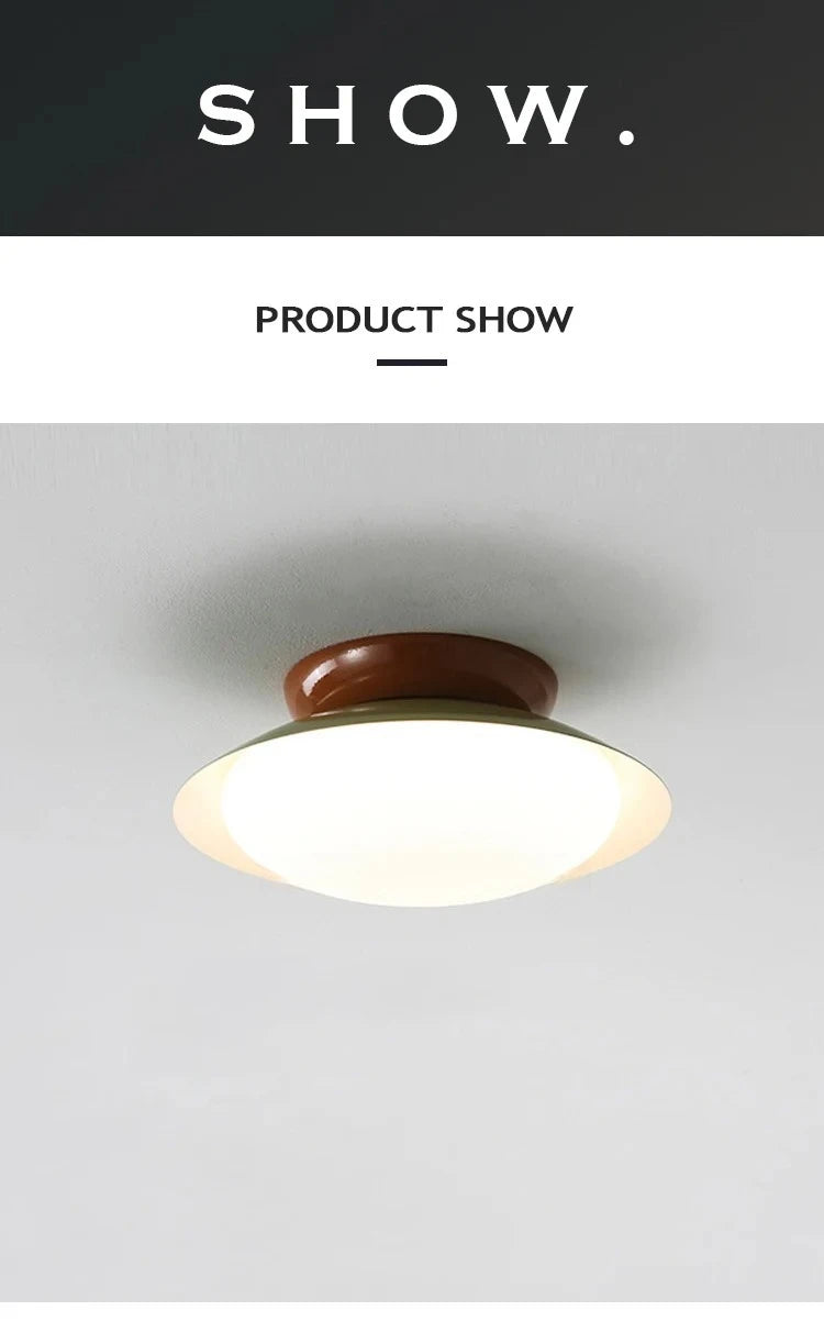 Modern New LED Ceiling Lamp Indoor Home Living Room Dining Room Study Bedroom Lighting