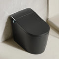 Modern Bathroom Smart Toilet Black Ceramic  Electronic Control Bidet Toilet