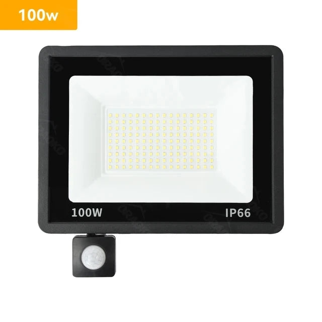 Led Spotlight With Motion Detector Outside Waterproof 220V 10W 20W 30W 50W 100W Street Ice Lamp Led Projector Lighting Focus