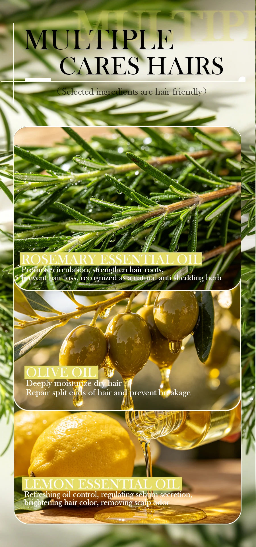 Rosemary Shampoo Soap Without Silicone Oil Plant Shampoo Soap Cleanses the Scalp Nourishes Hair Controls Oil