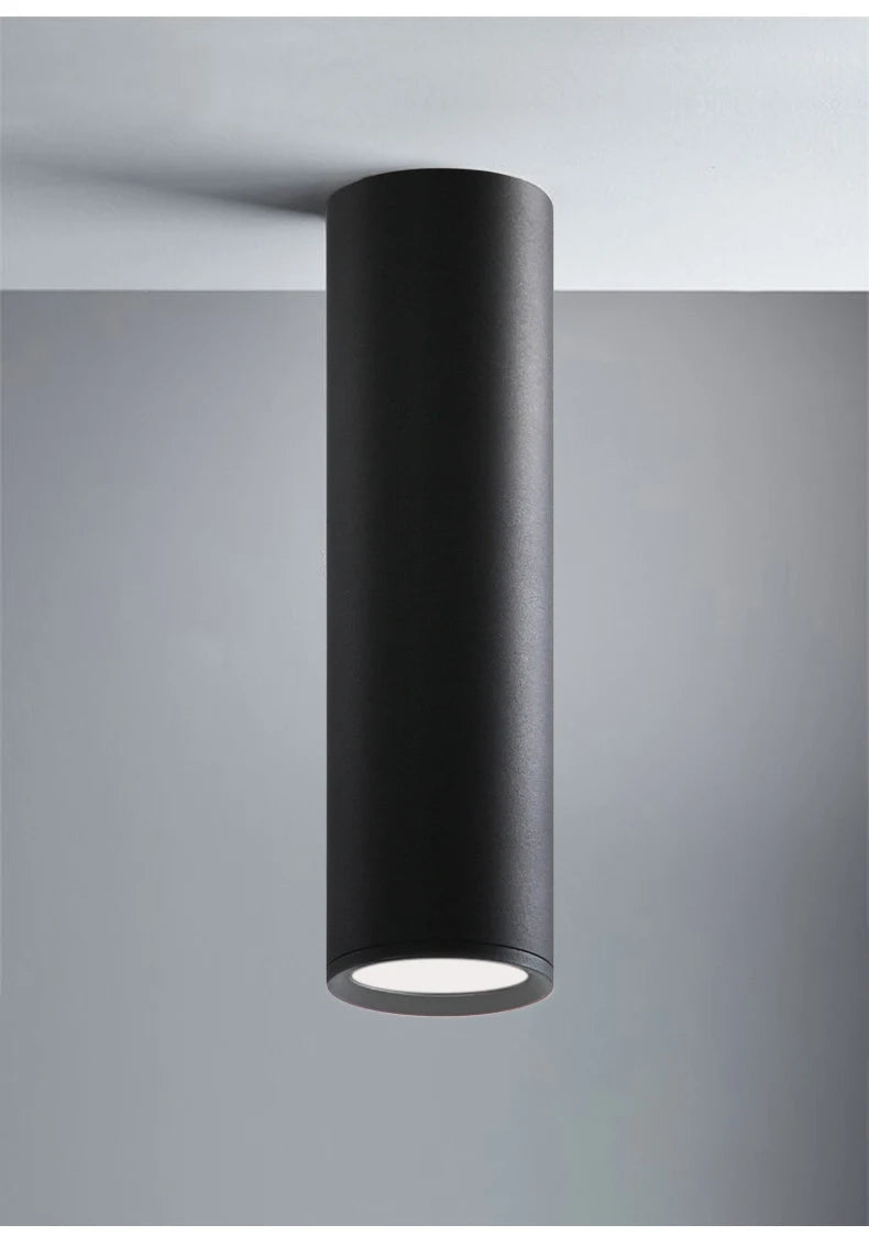 Nordic Light Indoor Lighting Led Ceiling Lamp Long Tube Surface Mounted Spot Light For Living Room Bedroom Corridor Store Art