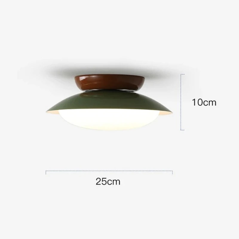 Modern New LED Ceiling Lamp Indoor Home Living Room Dining Room Study Bedroom Lighting