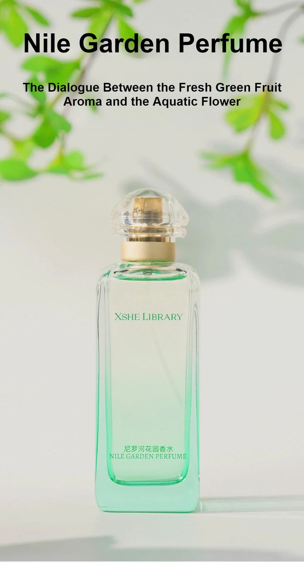 Summer Floral Aquatic Perfume 100ml Nile Garden Darjeeling Tea Long Lasting Light Scent Budget Friendly Fragrance homme Parfum