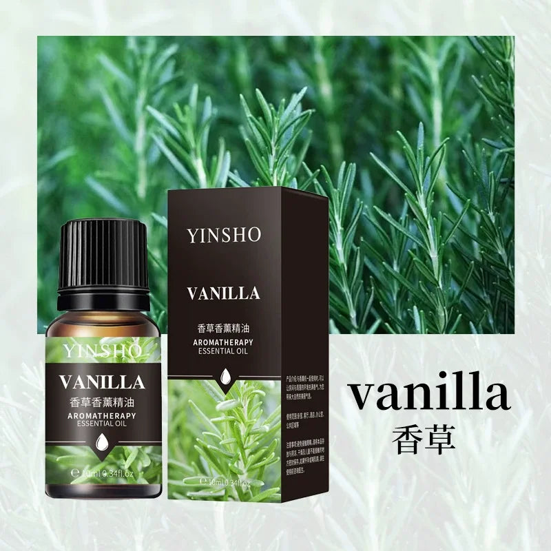 Aromatherapy 10ml Essential Oils for Humidifier Aromatic Oil Fragrance Oil Water-soluble Lavender Rose Lemon Mint