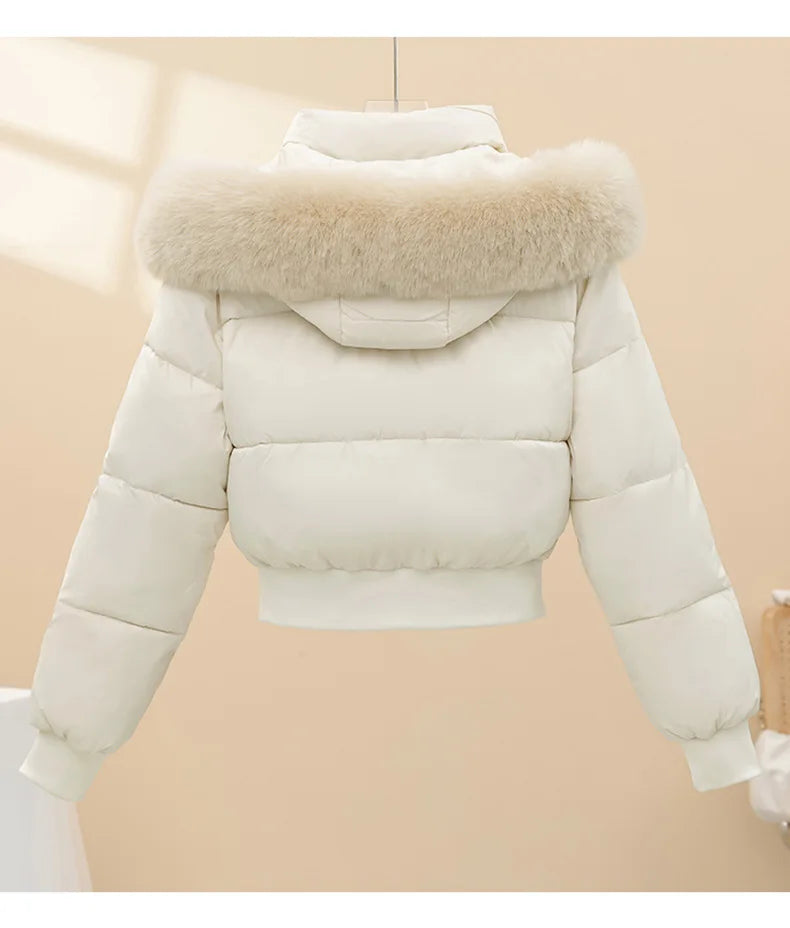 Detachable Hat Plush Warm Jacket Long Sleeve Loose Hooded Short Women's Parka Big Fur Collar Zippers Design Design Coat 2026 New