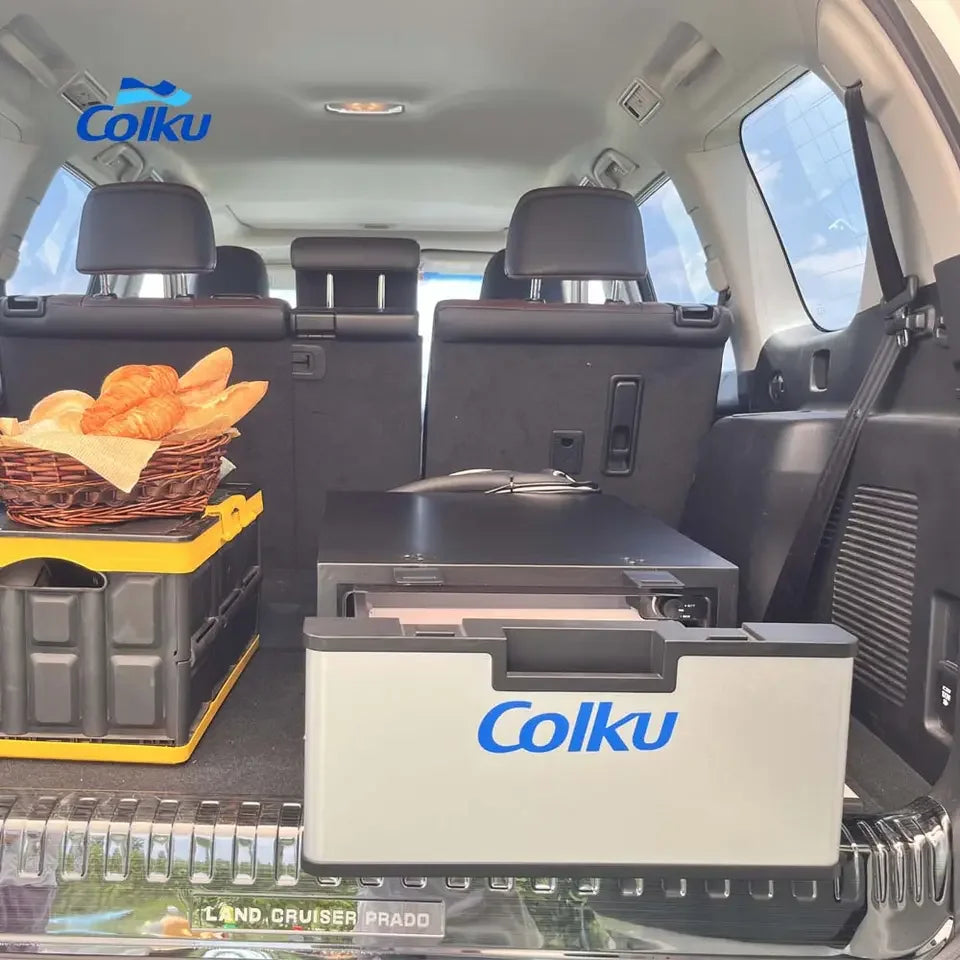 23L 12V 24V Drawer Fridges Deep Freezer Car Refrigerator Truck Fridge For Scania Volvo Hyndai