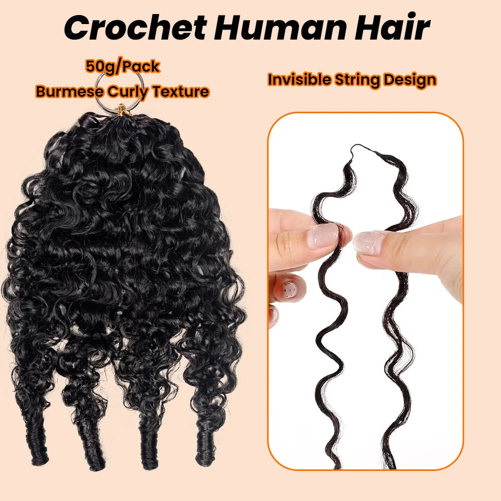 Curly Feather Crochet Human Hair Extensions Knotless Pre Separated Burmese Curly Crochet Extension With Special Curly Ends