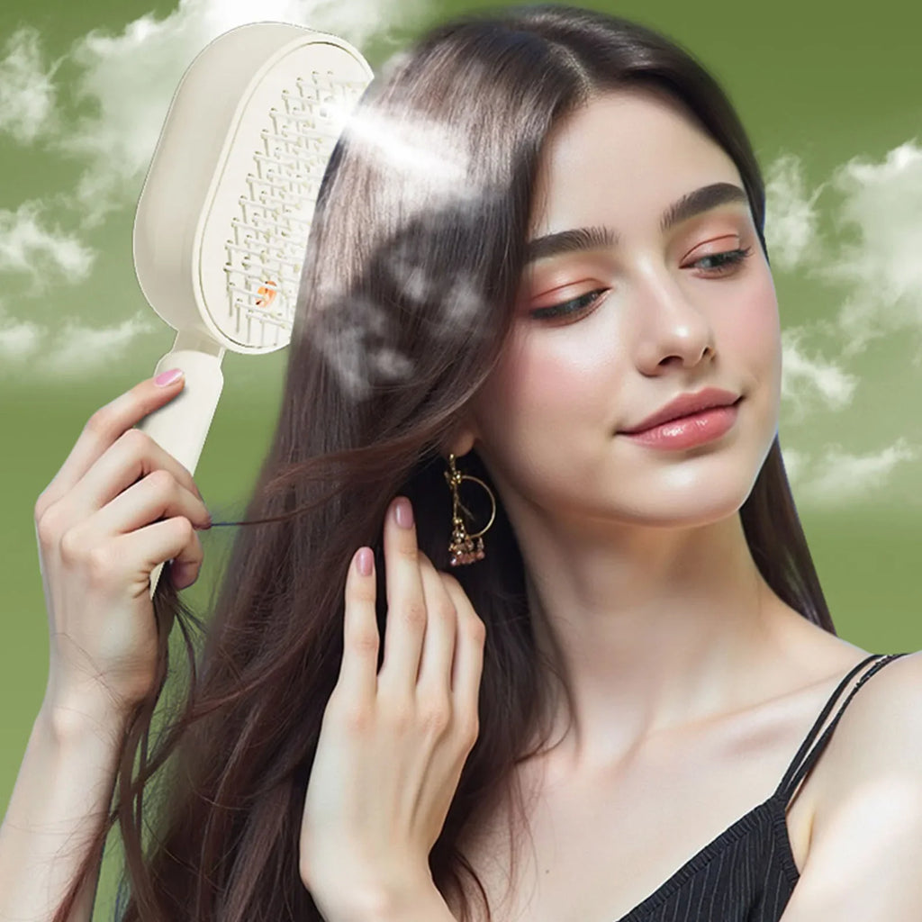 Electric Steam Brush with Water Spray Wet Electrics Hairbrush USB-C Charging for Detangling Smoothing Styling & Frizz Control