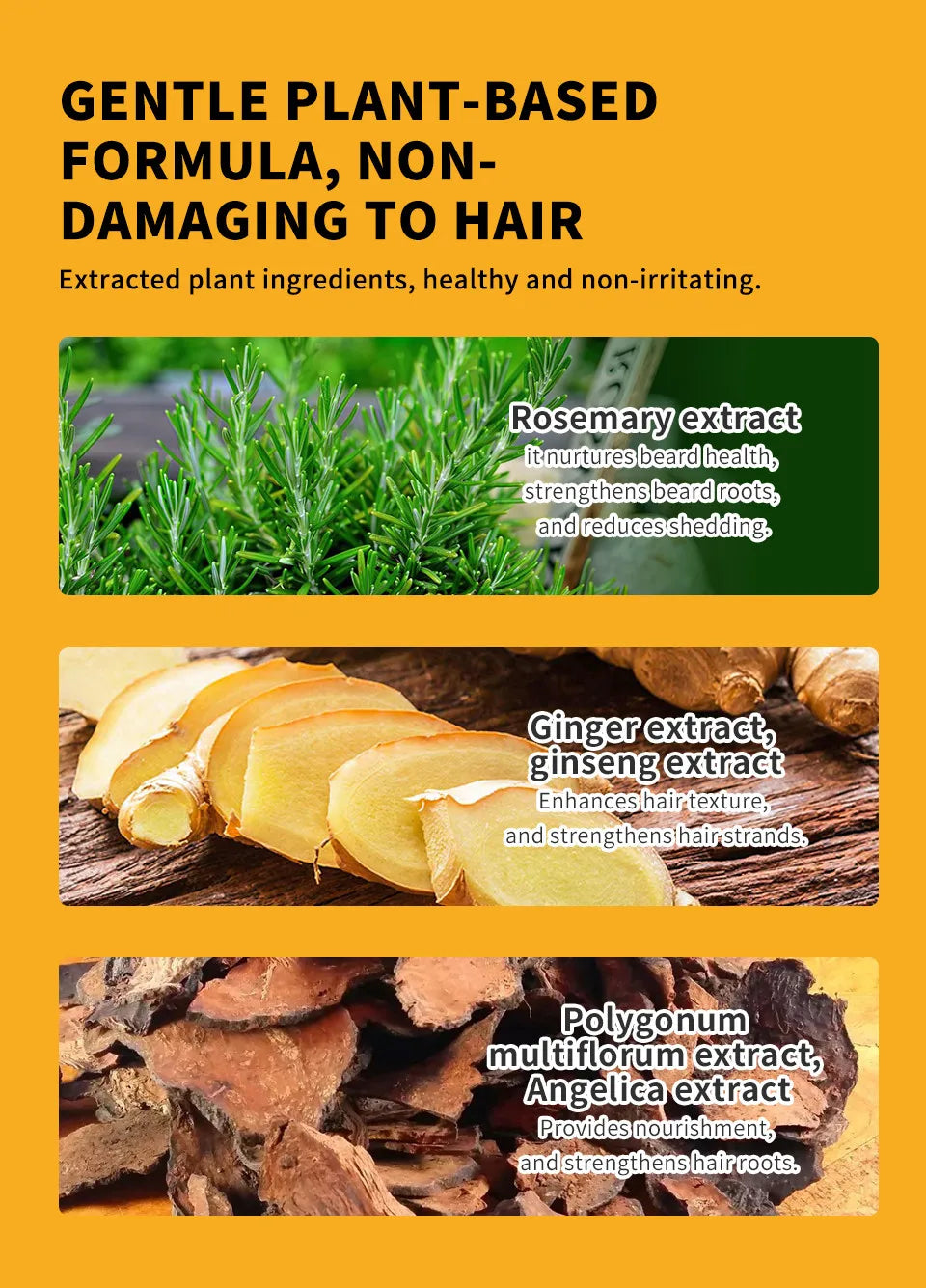 2024 Herbal Extract Black Beard Cream With Comb Rosemary Fast Black Beard Dye Shampoo Instant Hair Dye Cream Beard Care for Men