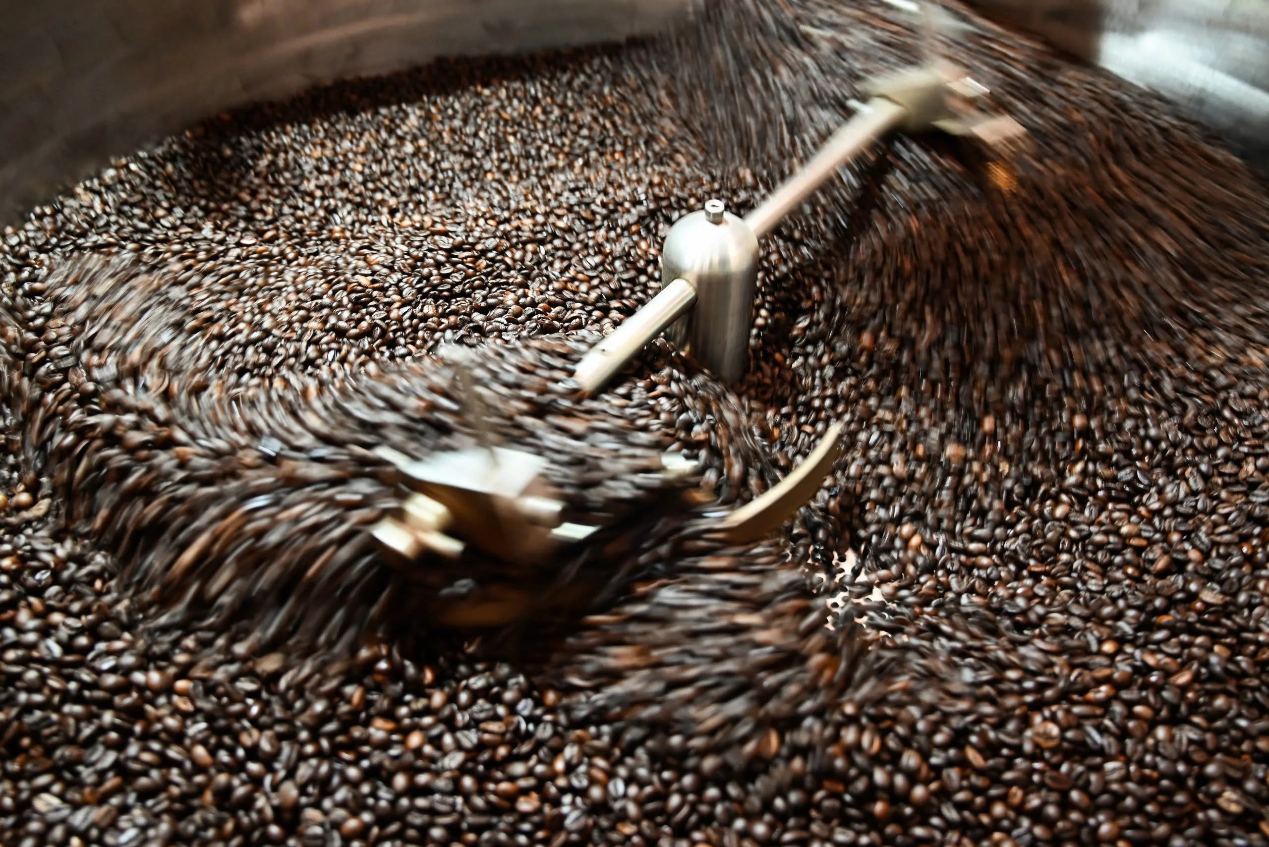 Dalakon Kon Tum Robusta Ground Coffee 0.25g Premium Light Roast Sweet Taste Caffeinated Vietnam 24 Months Factory Price Bag