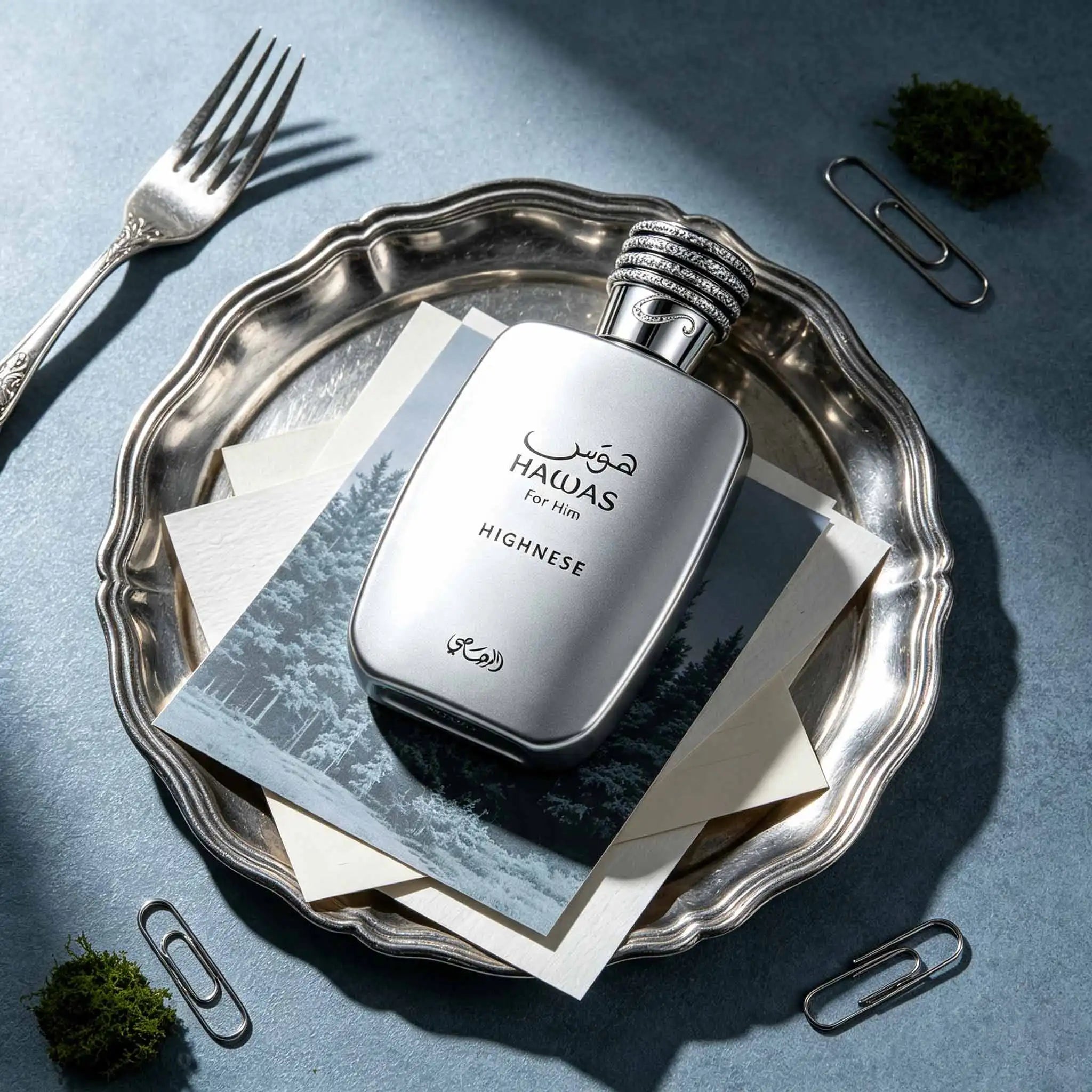 HAWAB HIGHNESS Men's Perfume | Refreshing Citrus Woody Scent,Premium matte silver bottle with stunning look. Popular pleasant citrus aroma, ideal gift for boyfriend, husband and relatives, decent and full of ritual sense.