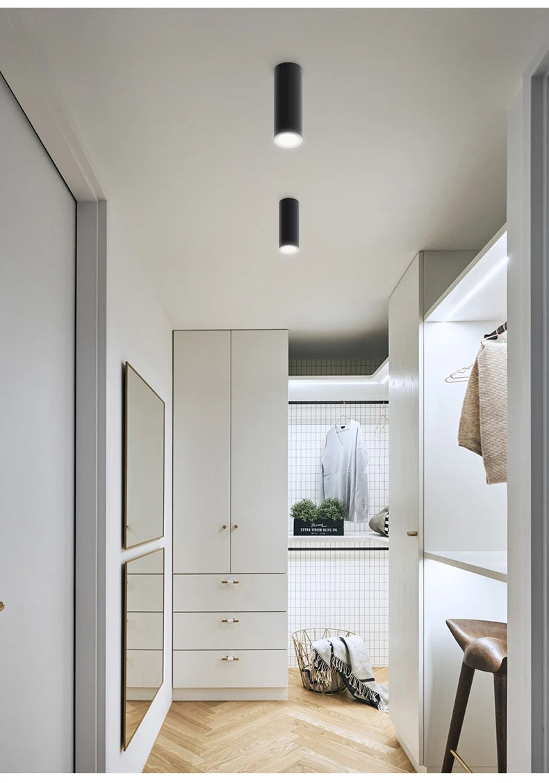 Nordic Light Indoor Lighting Led Ceiling Lamp Long Tube Surface Mounted Spot Light For Living Room Bedroom Corridor Store Art