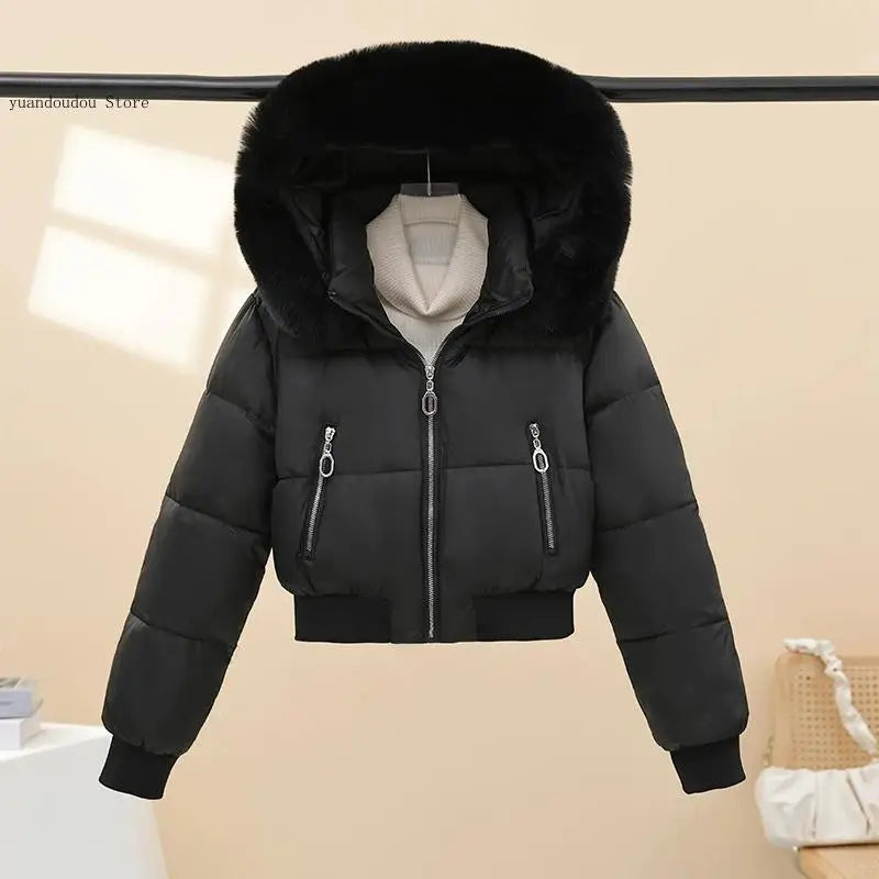 Windproof Warm Long Sleeve Jacket Fit Lady Down Coat Women Winter Cotton Coat Short Fur Collar Hooded Outerwear
