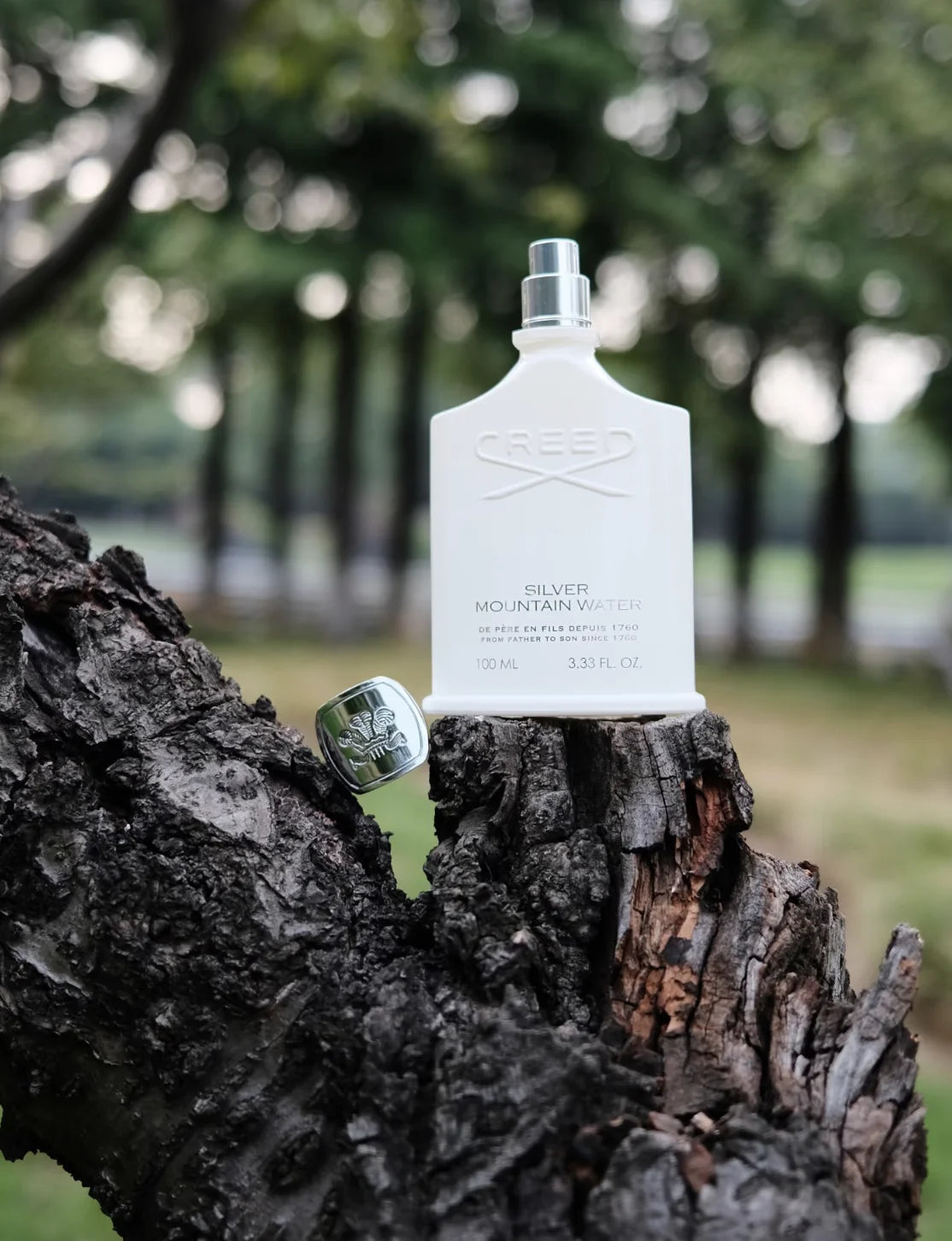 Silver Mountain Water perfume is inspired by the spring of snow mountain. It is fresh, not thick, and has a natural fragrance. It is suitable for people who want to pursue a low-key and high-level feeling.