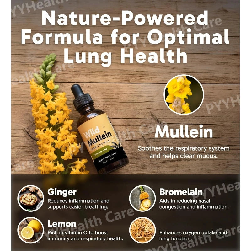 Mullein Drops with Ginger & Lemon for Lung Cleanse and Detox Mullein Leaf Extract for Respiratory Lung Health Detox for Smokers