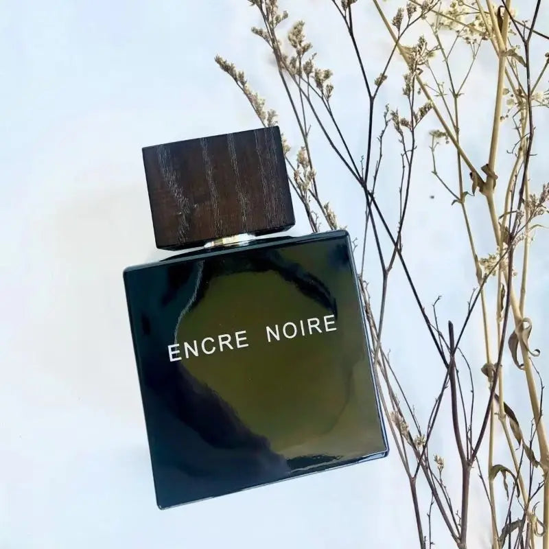 100ml Black Ink Men's Perfume, Woody Eau De Toilette - Woody Cologne for Men, Long Lasting Scent