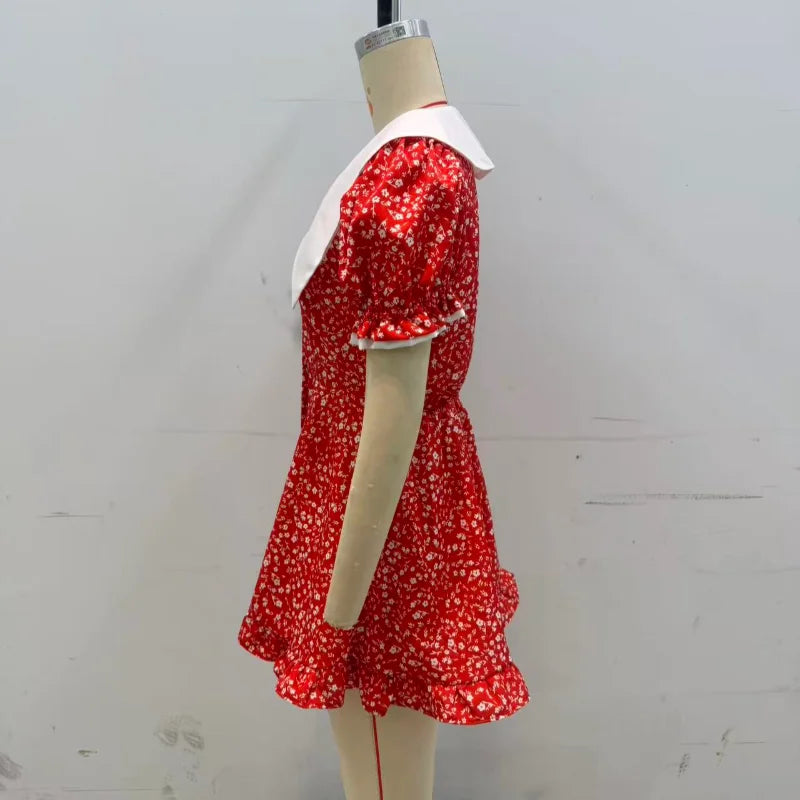 Red Floral Print Peter Pan Collar Dress Women Puff Sleeve V-neck High Waist A-line Mini Dresses Lady Evening Dinner Vestido 2026