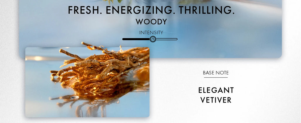 Azzaro Wanted Eau De Parfum - Woody, Aromatic & Spicy Fragrance - Fresh Notes - Lasting Wear - Luxury Perfumes for Men