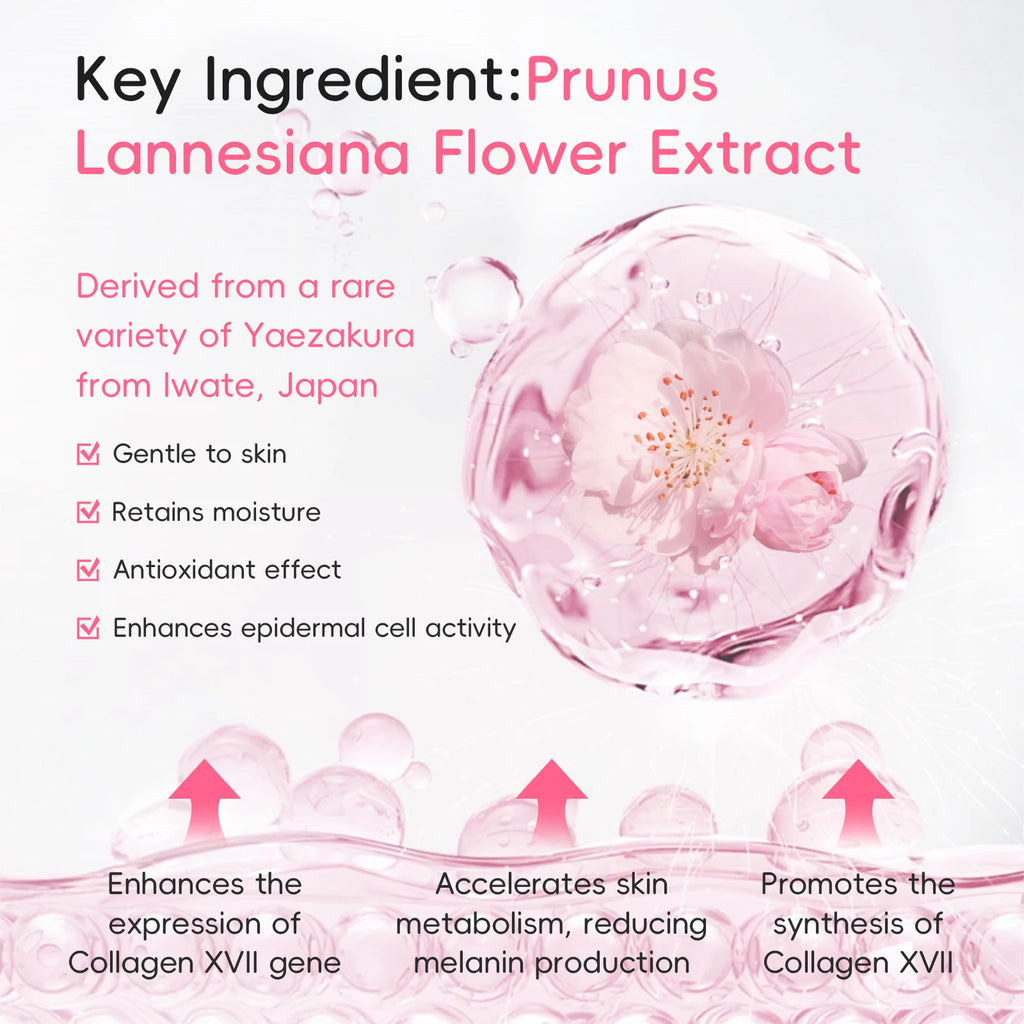 LAIKOU Japan Sakura Day & Night Cream Set 30g*2 Day Hydrating Night Repair Radiant Skin Care Kit