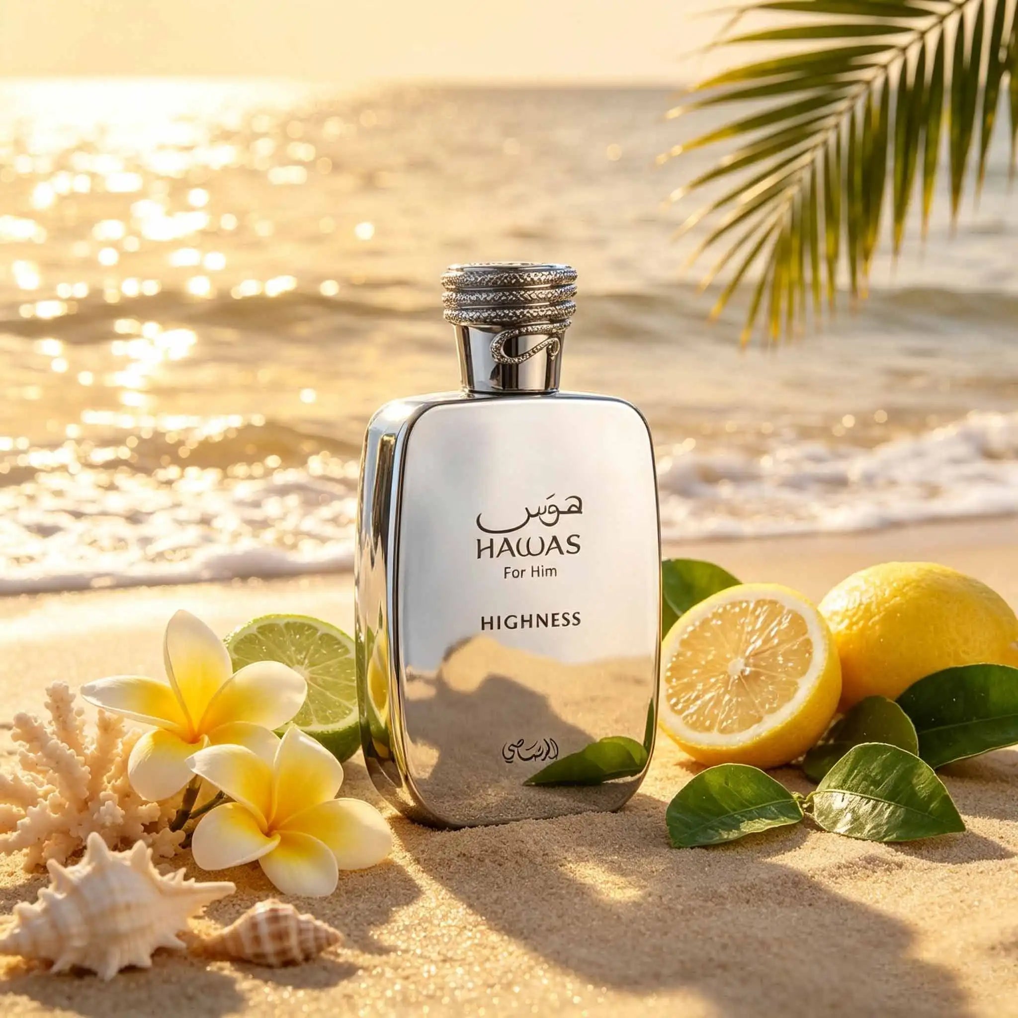 HAWAB HIGHNESS Men's Perfume | Refreshing Citrus Woody Scent,Premium matte silver bottle with stunning look. Popular pleasant citrus aroma, ideal gift for boyfriend, husband and relatives, decent and full of ritual sense.