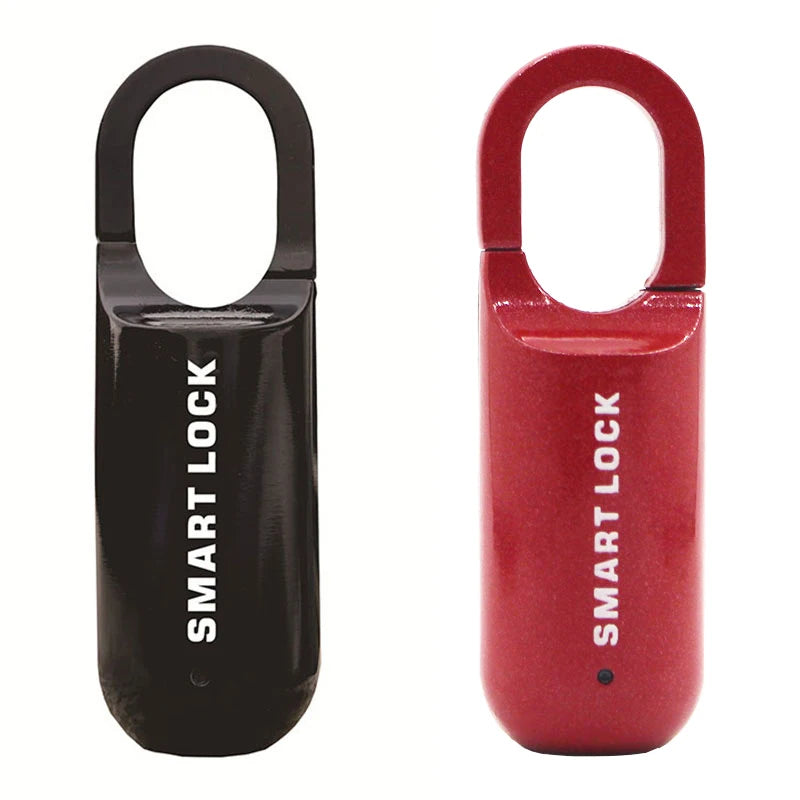 RAYKUBE Mini Fingerprint Lock Smart Padlock Biometric Electronic Lock Keyless USB Charge for Gym School Travel Case Backpack