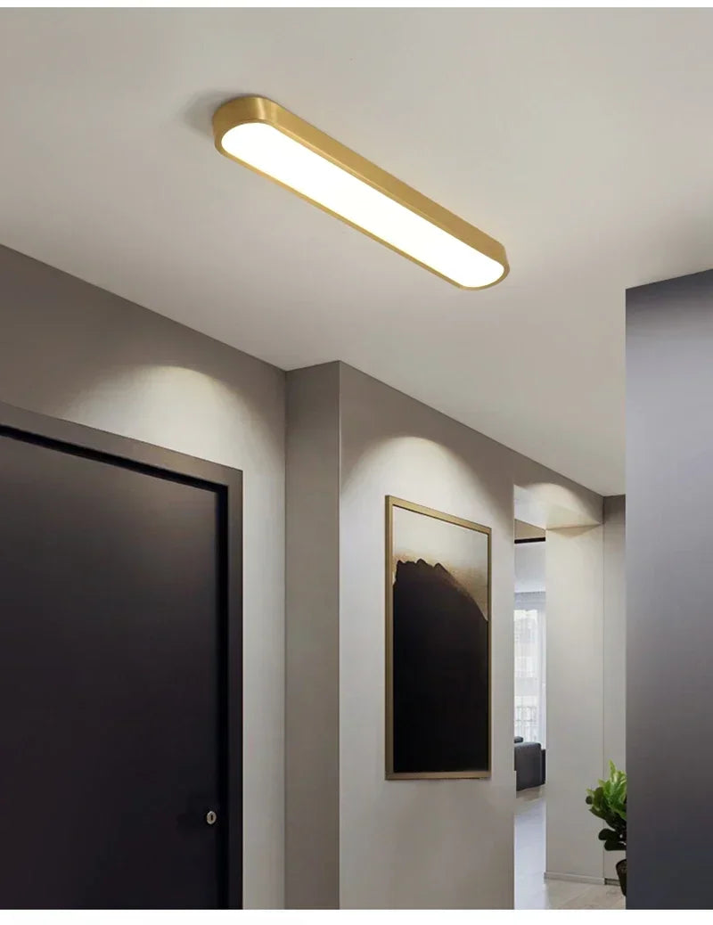Nordic LED Ceiling Lamp Indoor Lighting Home Decoration For Living Room Bedroom Dining Table Cloakroom Corridor Cloakroom Light