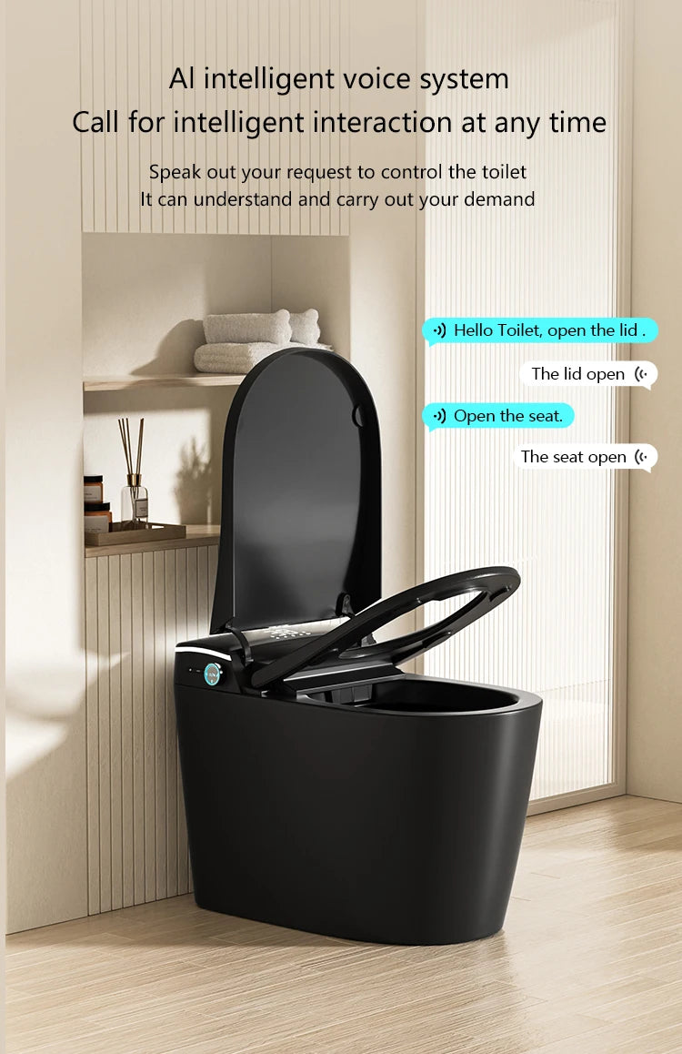 Modern Bathroom Smart Toilet Black Ceramic Automatic Electronic Control Bidet Wc Toilet