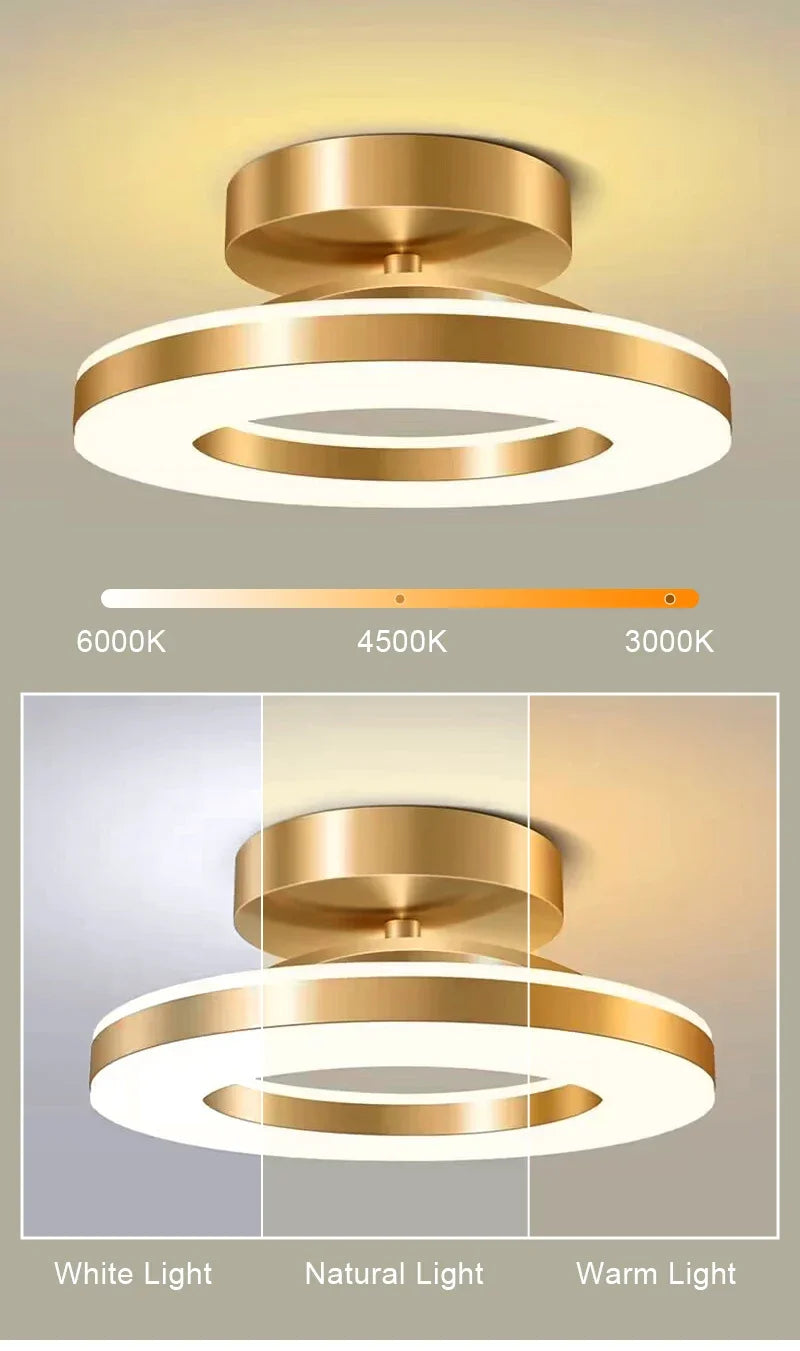 Modern LED Ceiling Lamp Indoor Lighting Home Decoretion for Bedroom Dining Table Living Room Balcony Corridor Ceiling Light
