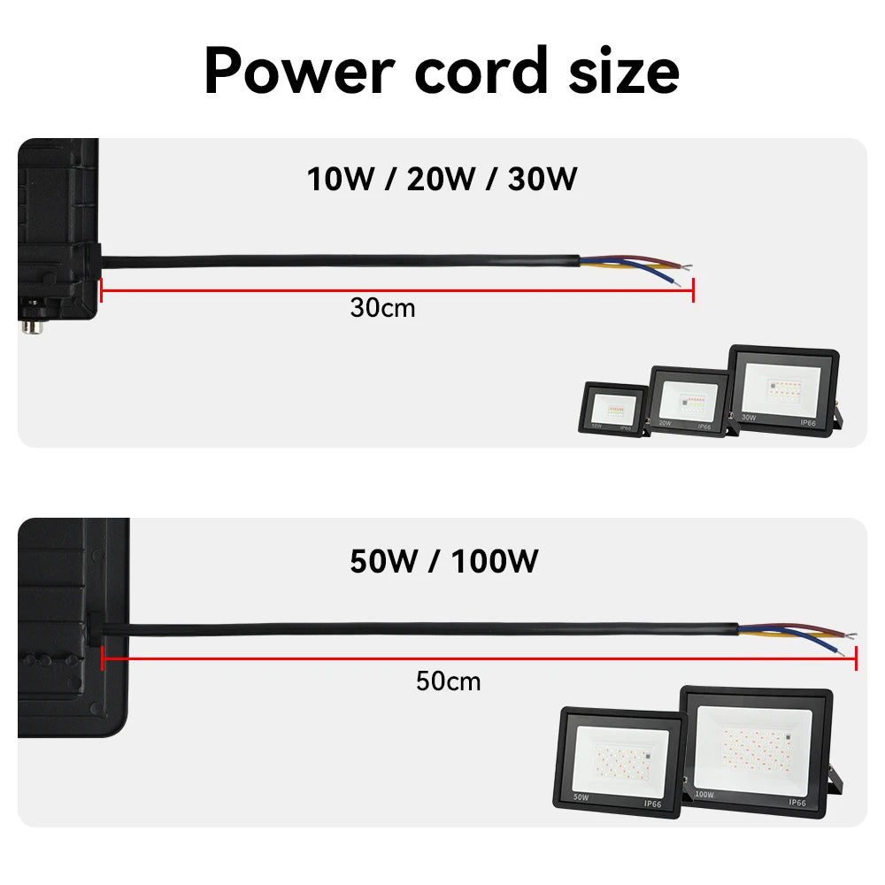RGB LED Floodlight Reflector Outdoor Lighting 220V 30W 50W 100W IP66 Waterproof Outdoor RGB Spotlight Lamps Landscape Lighting