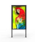 65 Inch 55 Inch Single Dual Side LCD Digital Signage High Brightness 2500 Nits Window Facing Advertising Android Player