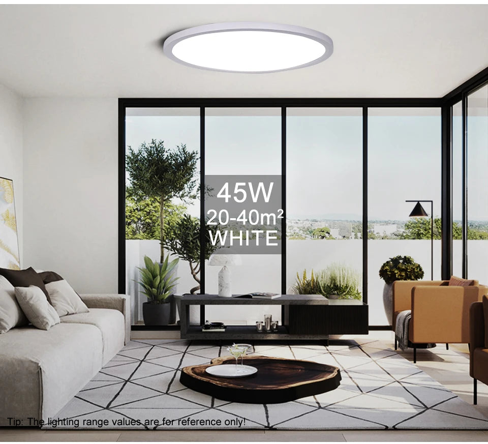 Led Ceiling Lights Large 20Inch Ultra-thin Remote Control APP Dimmable Smart Modern Lamp For Living Room Bedroom Home Decoration