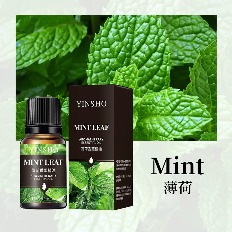 Aromatherapy 10ml Essential Oils for Humidifier Aromatic Oil Fragrance Oil Water-soluble Lavender Rose Lemon Mint