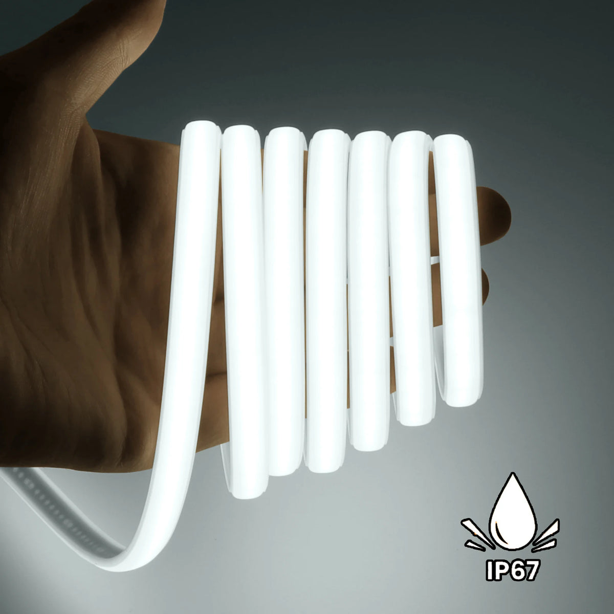 Waterproof Flexible COB Neon Light DC 12V 24V Milky White 3000K 4000K 6000K 0.5M-20M for Home Indoor Outdoor Decoration