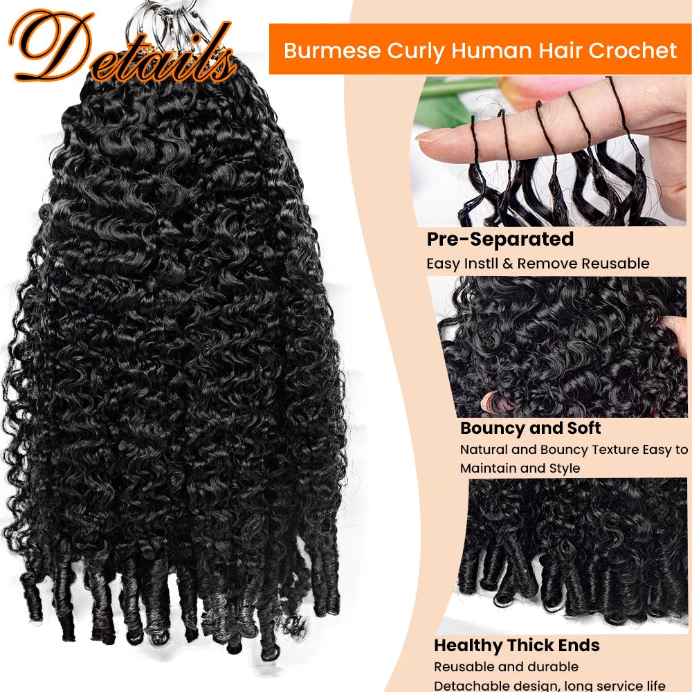 Curly Feather Crochet Human Hair Extensions Knotless Pre Separated Burmese Curly Crochet Extension With Special Curly Ends