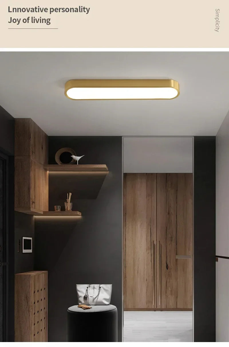 Nordic LED Ceiling Lamp Indoor Lighting Home Decoration For Living Room Bedroom Dining Table Cloakroom Corridor Cloakroom Light