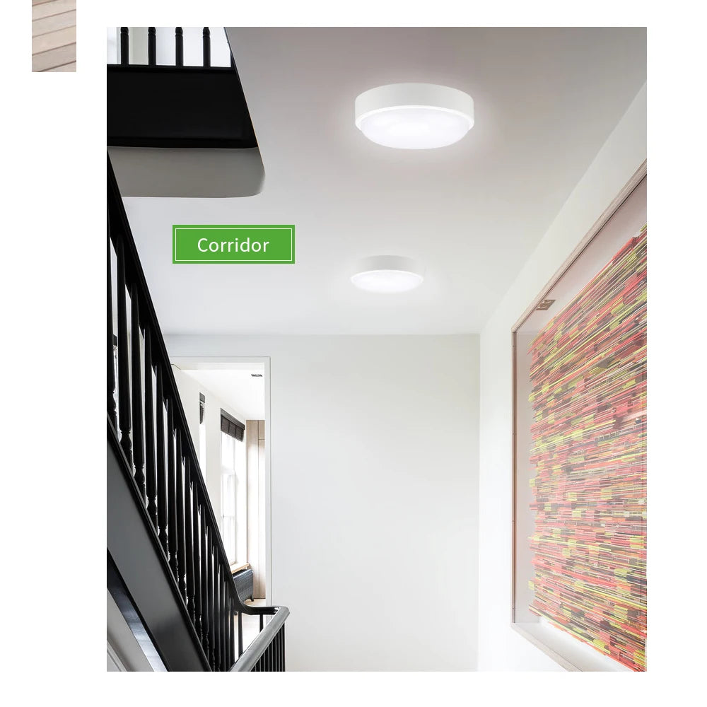 16W 20W Outdoor LED Wall Lamp Garden Porch Surface Mounted Oval Sconce Lighting Bathroom Moistureproof Ceiling Light AC85-265V