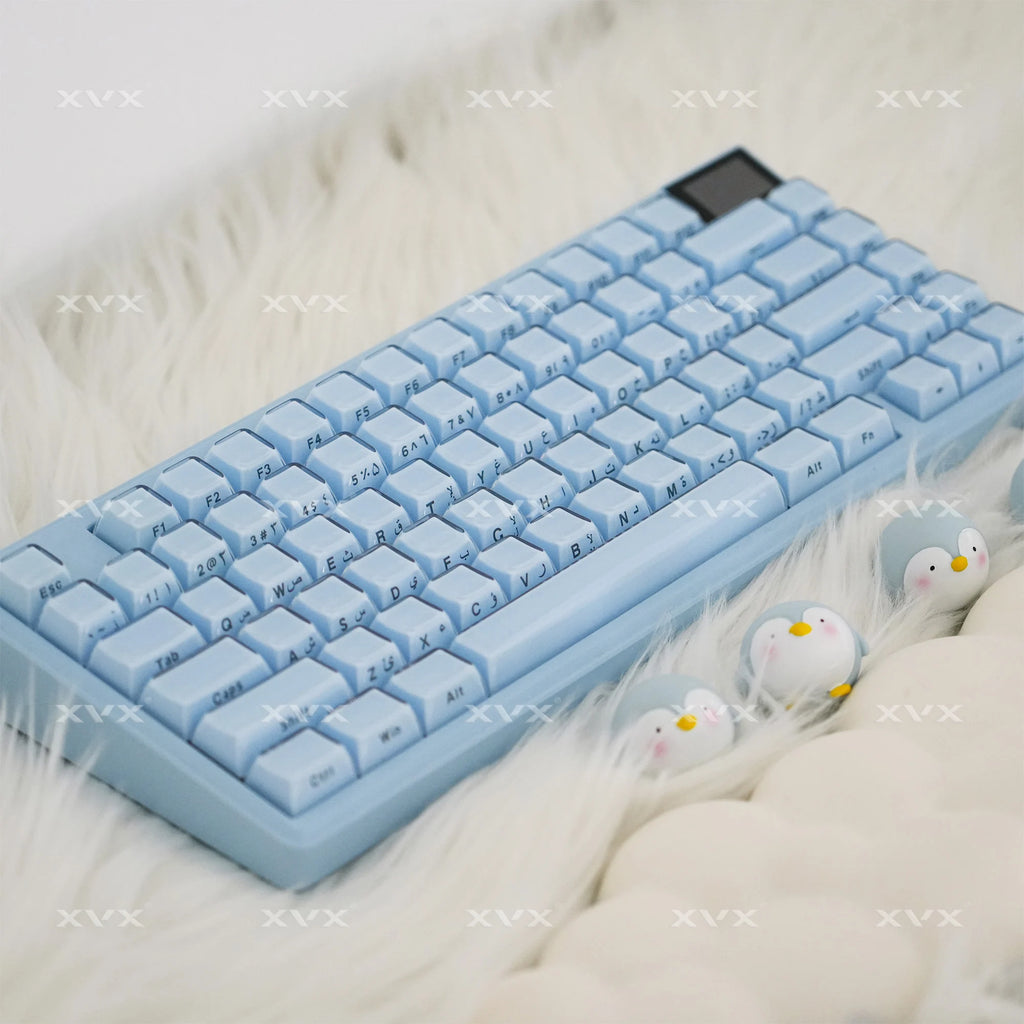XVX Jelly Crystal Keycaps Side Print Pink/Blue 113keys Double Shote DIY Mechanical Keyboard OEM Profile Translucent Keycaps