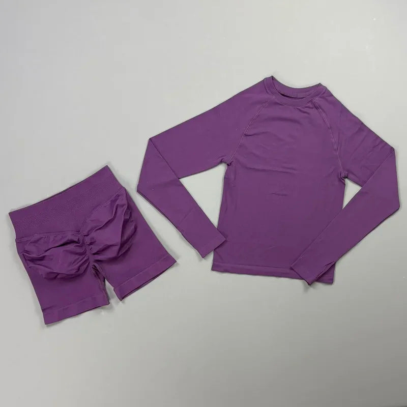 2 Piece Sports Set Women Workout Long Sleeve Top Seamless Shorts Sets Quick Dry Stretch Gym Fitness Running Yoga Athletic Outfit