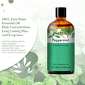 PHATOIL 100ML Copaiba Pure Essential Oils Helichrysum Neroli Australian Tea Tree Lemon Eucalyptus Turmeric Oregano Spearmint Oil