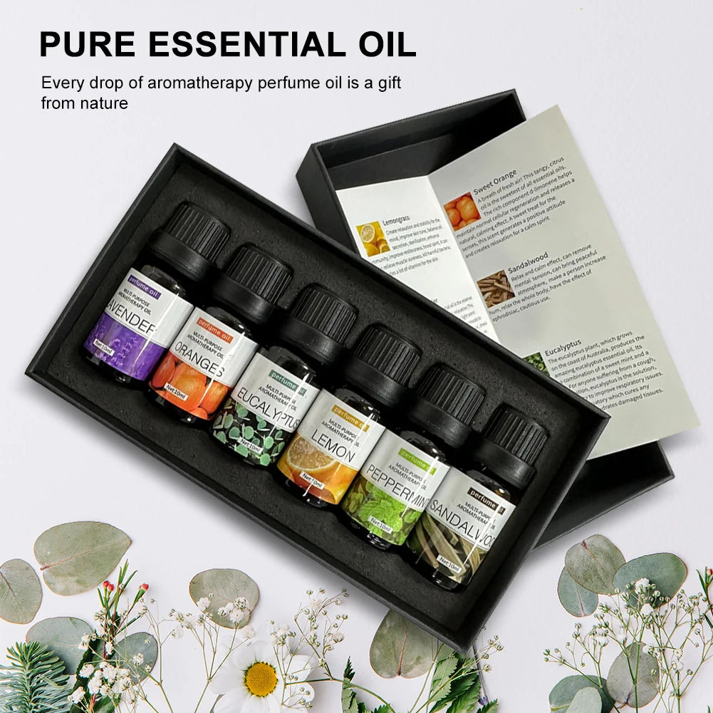 Water Soluble Essential Oil Set Aromatherapy TOP 6 Organic Blends for Diffuser Humidifier Perfume Oil Lavender Oranges