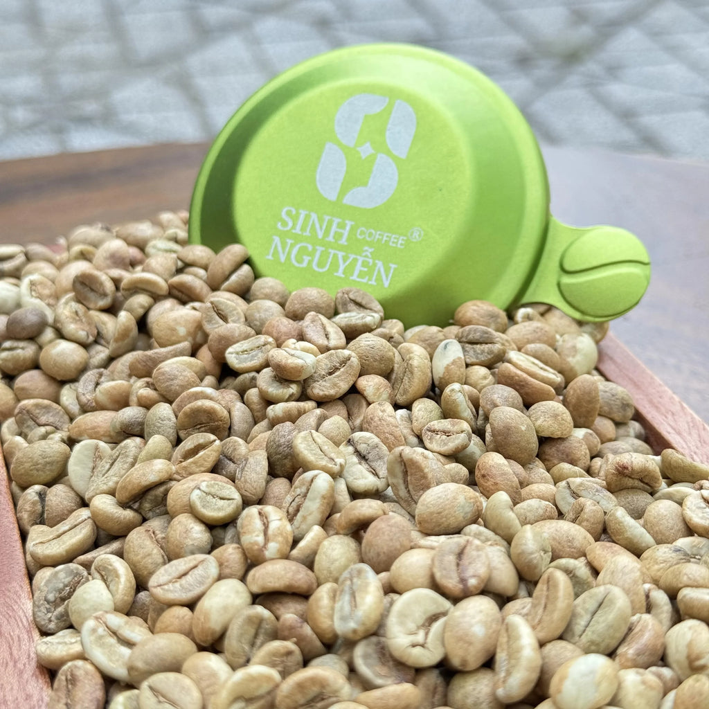 Vietnamese Robusta Premium Grade Green Coffee Honey Process 50kg/bag for Espresso and Instant Use