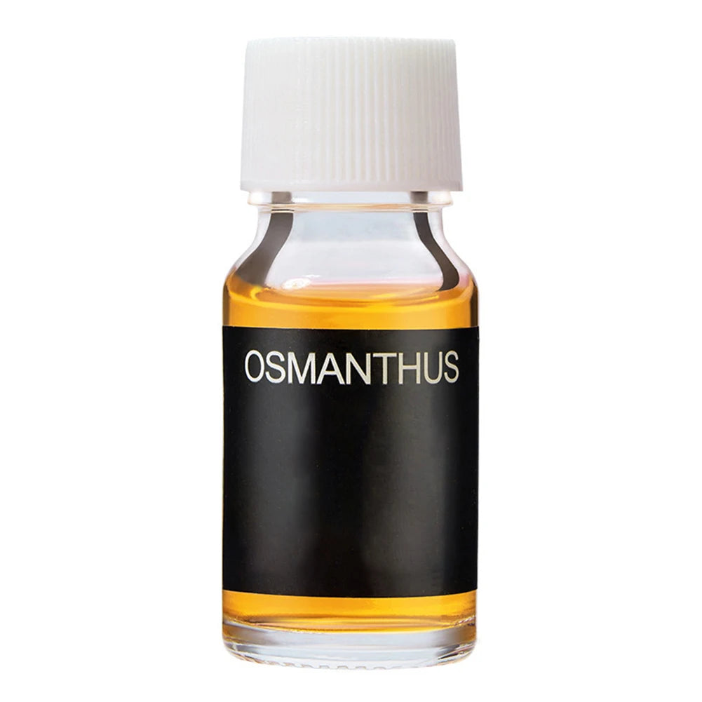 Essential Oil High Quality Ingredients Car Perfume Refill Compact Pleasant Scents Delightful Scents Ml Net Content