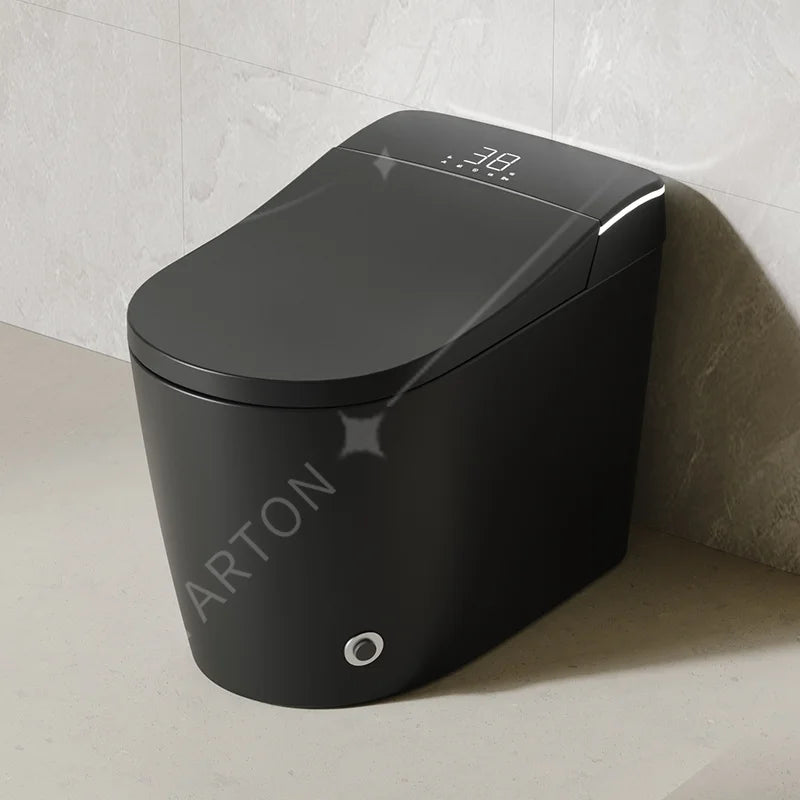 Modern Bathroom Smart Toilet Black Ceramic  Electronic Control Bidet Toilet