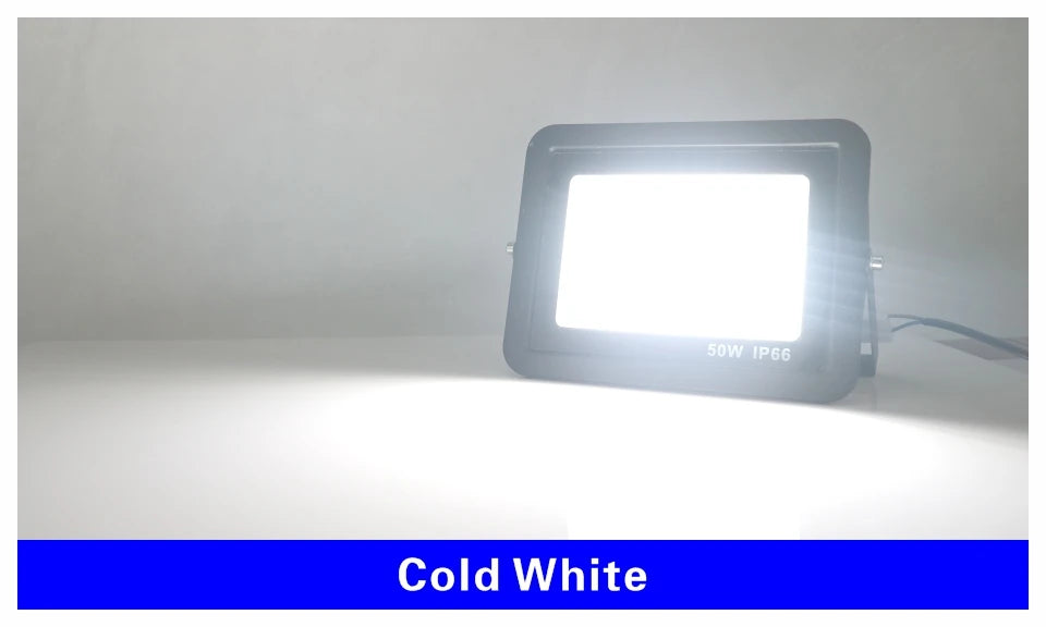 DC12V Led Flood Light 20W 30W 50W 100W Outdoor Floodlight Spotlight IP66 Waterproof Light Reflector Portable 12 Volt Led Lights