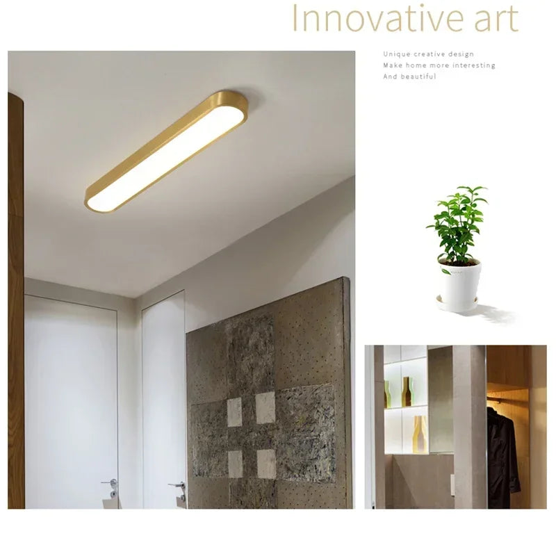 Nordic LED Ceiling Lamp Indoor Lighting Home Decoration For Living Room Bedroom Dining Table Cloakroom Corridor Cloakroom Light