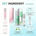 50ml*3 Spicule Microcrystal Serum,Pore Exfoliation,Centella Asiatica Propolis Aloe Extract Moisturizing Korean Glass Skin Care